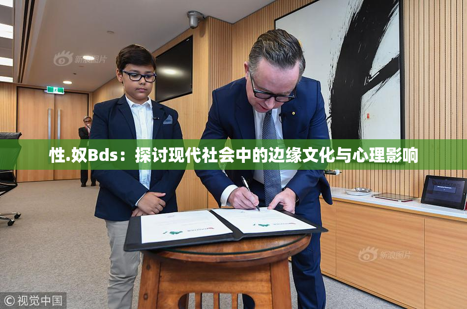 性.奴Bds：探讨现代社会中的边缘文化与心理影响