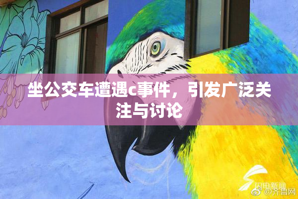 坐公交车遭遇c事件，引发广泛关注与讨论