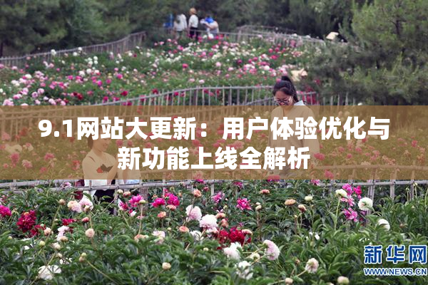 9.1网站大更新：用户体验优化与新功能上线全解析
