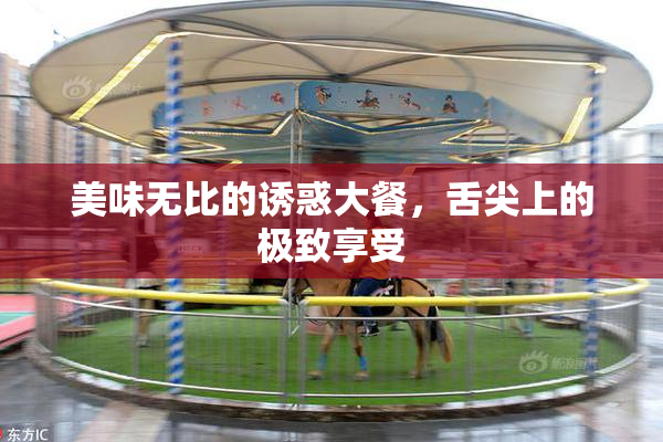 美味无比的诱惑大餐，舌尖上的极致享受