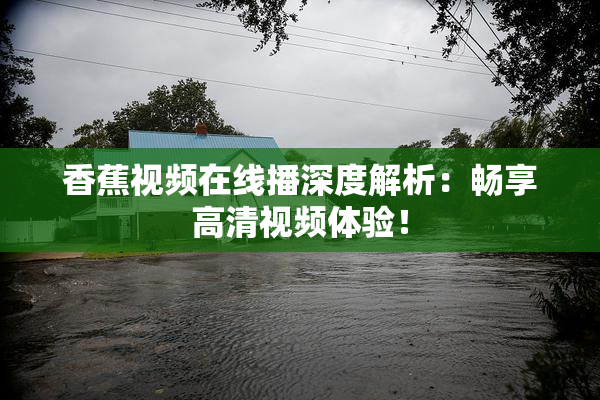 香蕉视频在线播深度解析：畅享高清视频体验！