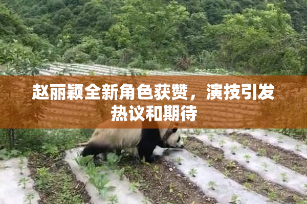 赵丽颖全新角色获赞，演技引发热议和期待
