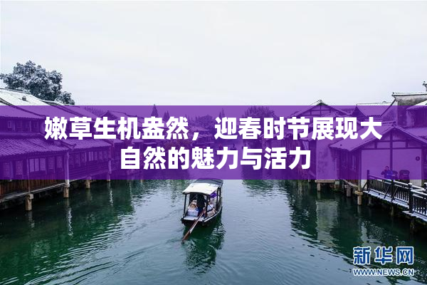 嫩草生机盎然，迎春时节展现大自然的魅力与活力