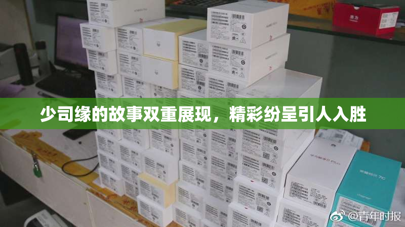 少司缘的故事双重展现，精彩纷呈引人入胜