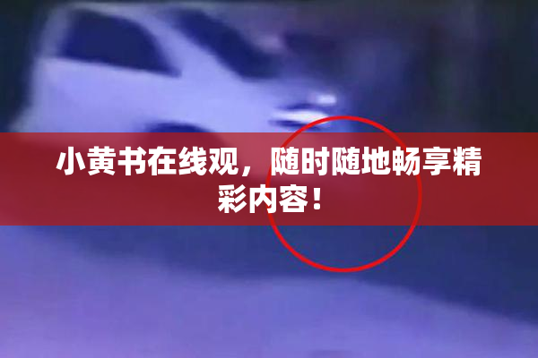 小黄书在线观，随时随地畅享精彩内容！