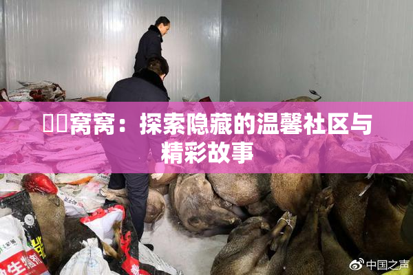 妺妺窝窝：探索隐藏的温馨社区与精彩故事