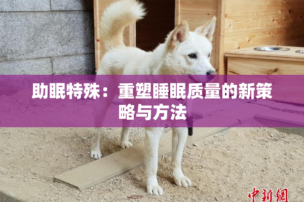 助眠特殊：重塑睡眠质量的新策略与方法