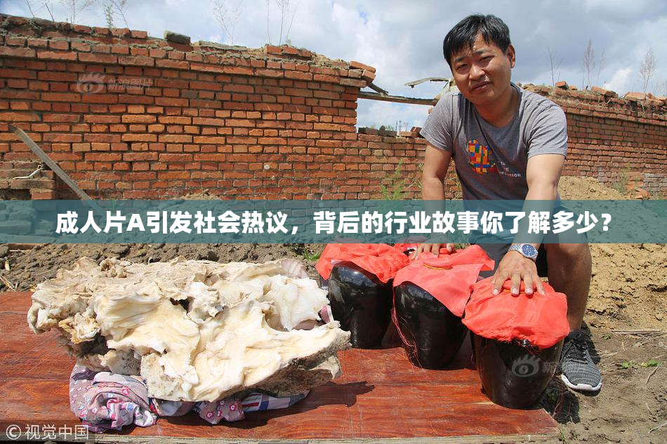 成人片A引发社会热议，背后的行业故事你了解多少？