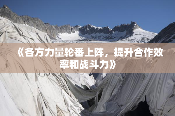 《各方力量轮番上阵，提升合作效率和战斗力》