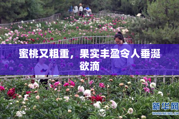蜜桃又粗重，果实丰盈令人垂涎欲滴