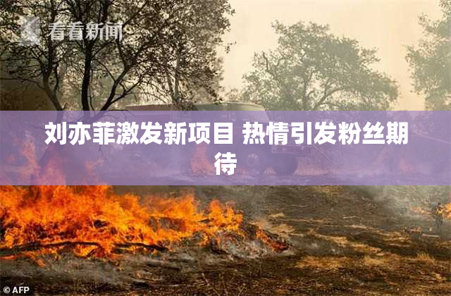 刘亦菲激发新项目 热情引发粉丝期待