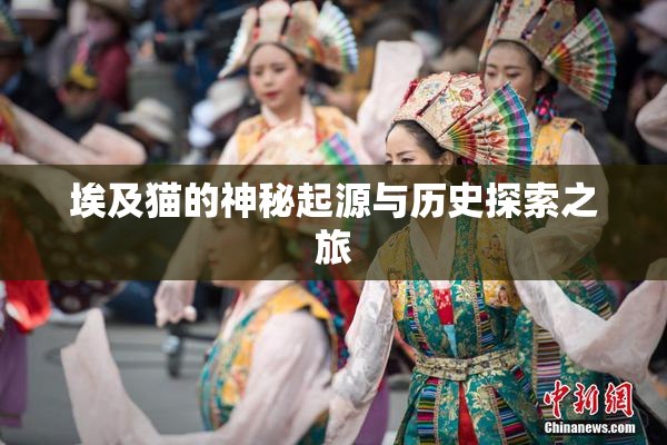 埃及猫的神秘起源与历史探索之旅