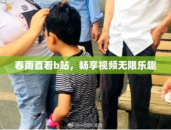春雨直看b站，畅享视频无限乐趣