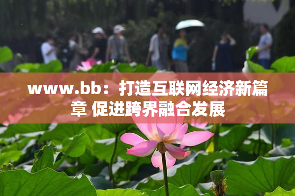 www.bb：打造互联网经济新篇章 促进跨界融合发展