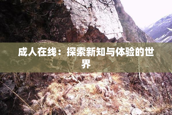 成人在线：探索新知与体验的世界
