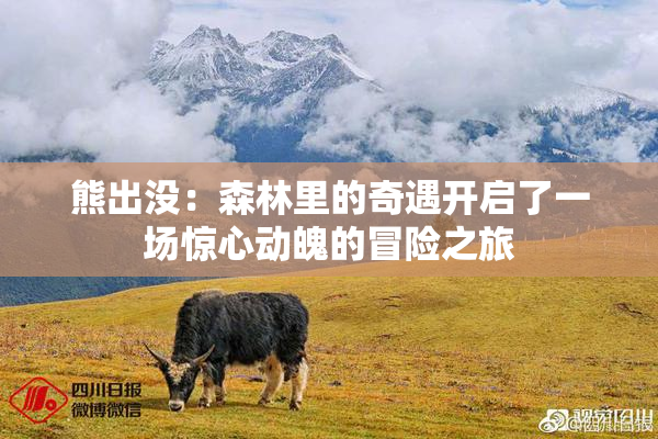 熊出没：森林里的奇遇开启了一场惊心动魄的冒险之旅