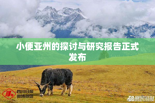 小便亚州的探讨与研究报告正式发布
