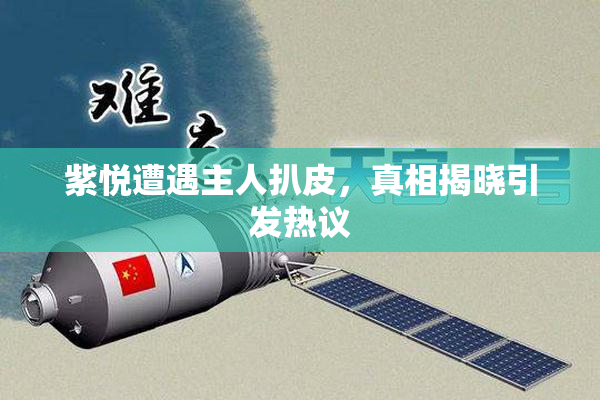 紫悦遭遇主人扒皮，真相揭晓引发热议