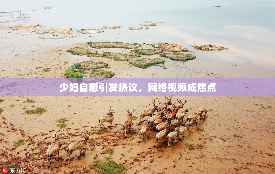 少妇自慰引发热议，网络视频成焦点