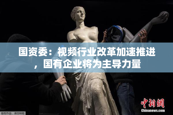 国资委：视频行业改革加速推进，国有企业将为主导力量