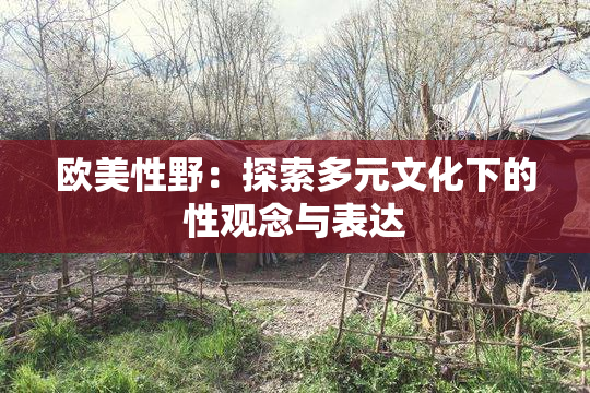 欧美性野：探索多元文化下的性观念与表达
