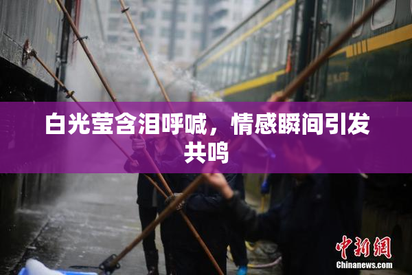白光莹含泪呼喊，情感瞬间引发共鸣