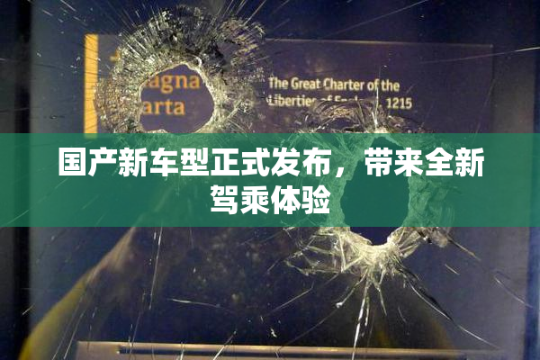 国产新车型正式发布，带来全新驾乘体验