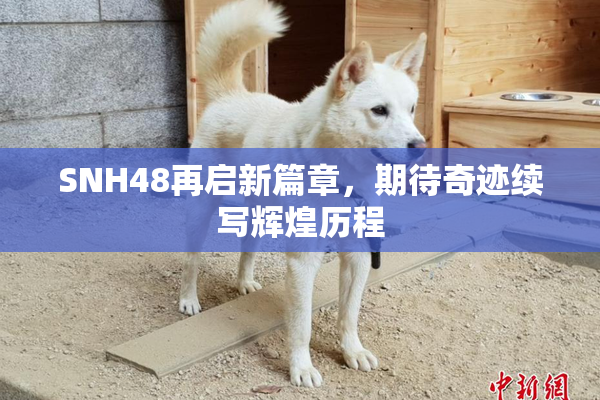 SNH48再启新篇章，期待奇迹续写辉煌历程