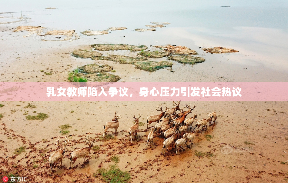 乳女教师陷入争议，身心压力引发社会热议