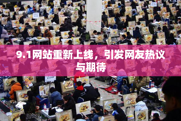 9.1网站重新上线，引发网友热议与期待
