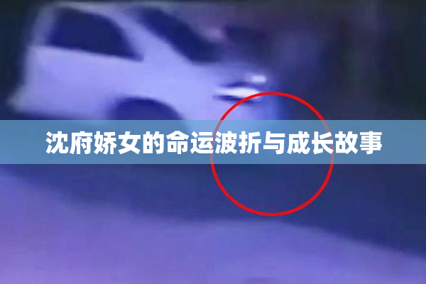 沈府娇女的命运波折与成长故事