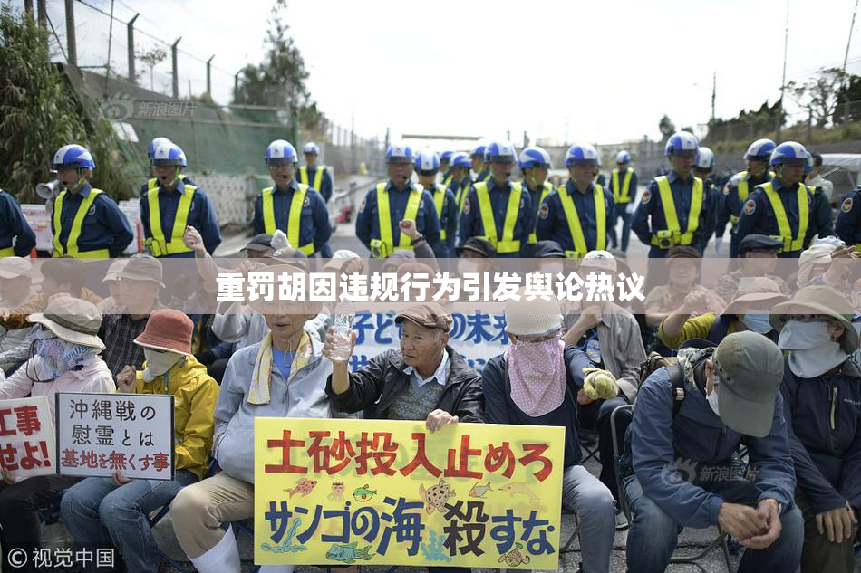 重罚胡因违规行为引发舆论热议