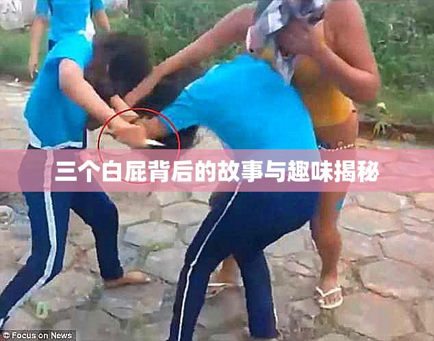 三个白屁背后的故事与趣味揭秘