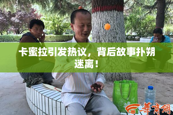 卡蜜拉引发热议，背后故事扑朔迷离！