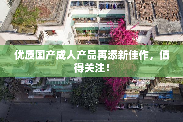 优质国产成人产品再添新佳作，值得关注！