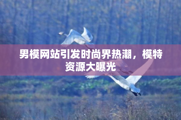 男模网站引发时尚界热潮，模特资源大曝光