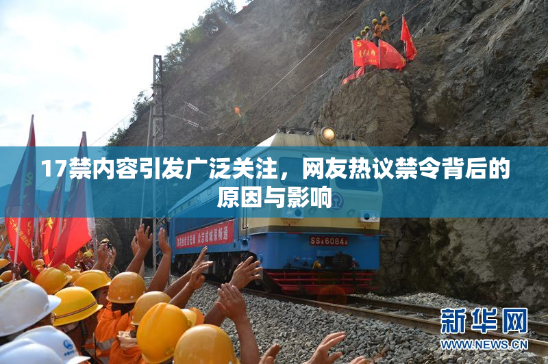 17禁内容引发广泛关注，网友热议禁令背后的原因与影响