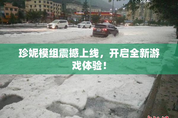 珍妮模组震撼上线，开启全新游戏体验！