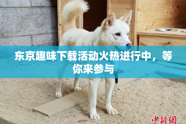东京趣味下载活动火热进行中，等你来参与