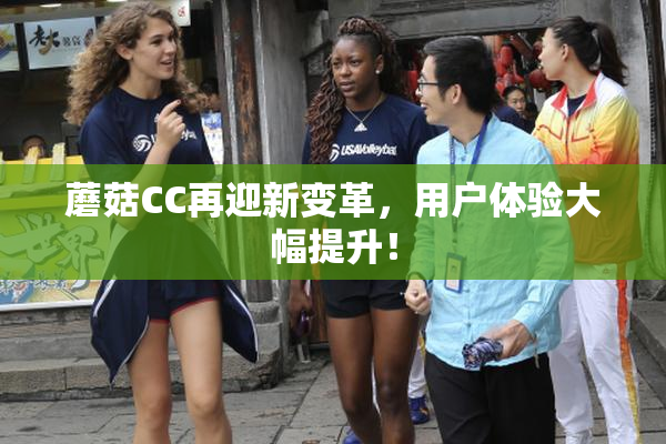 蘑菇CC再迎新变革，用户体验大幅提升！