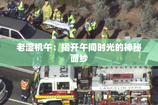 老湿机午：揭开午间时光的神秘面纱