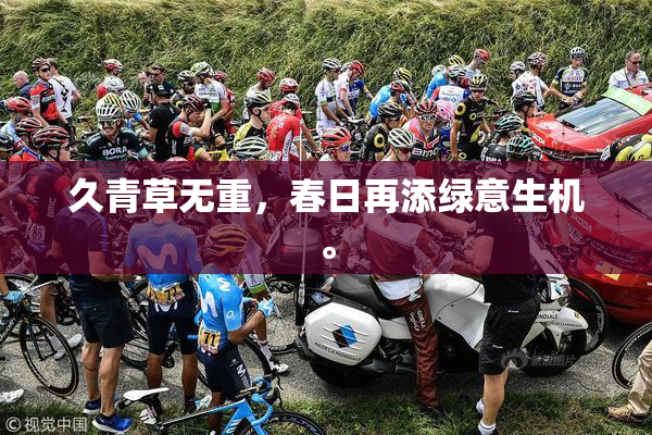 久青草无重，春日再添绿意生机。