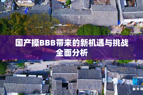 国产搡BBB带来的新机遇与挑战全面分析