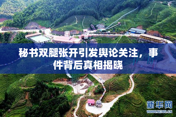 秘书双腿张开引发舆论关注，事件背后真相揭晓