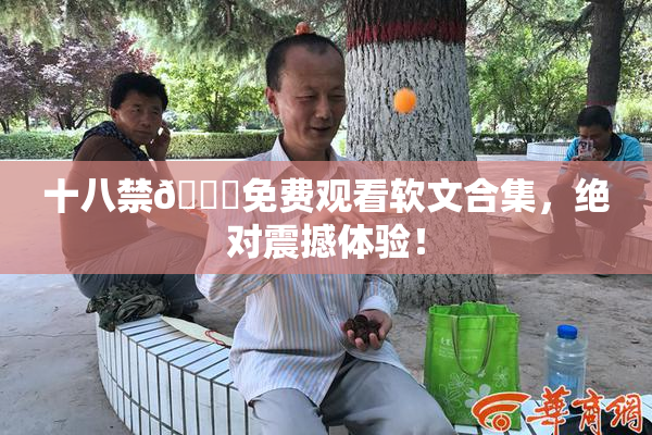 十八禁🔞免费观看软文合集，绝对震撼体验！