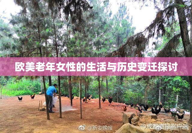 欧美老年女性的生活与历史变迁探讨