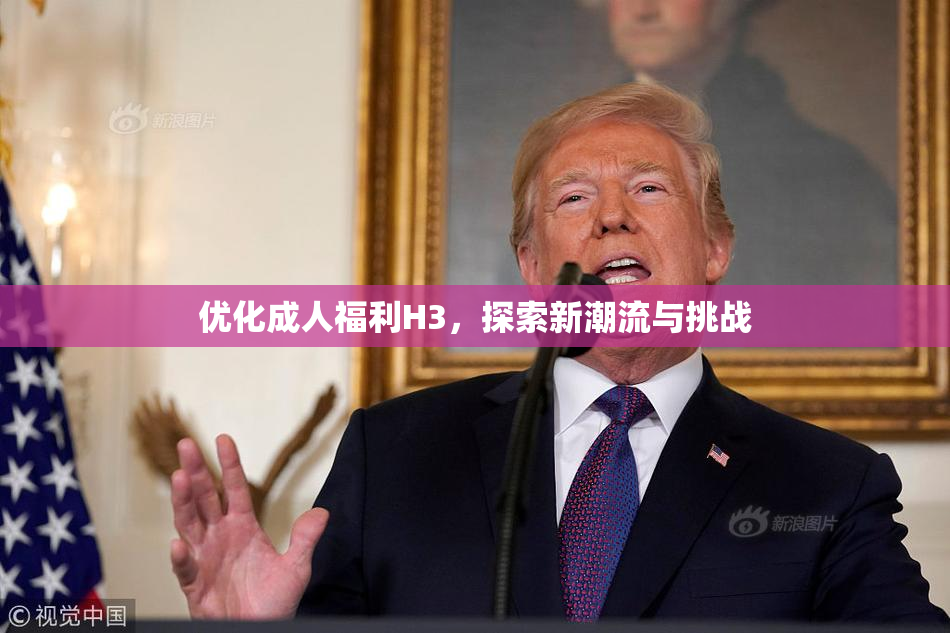 优化成人福利H3，探索新潮流与挑战