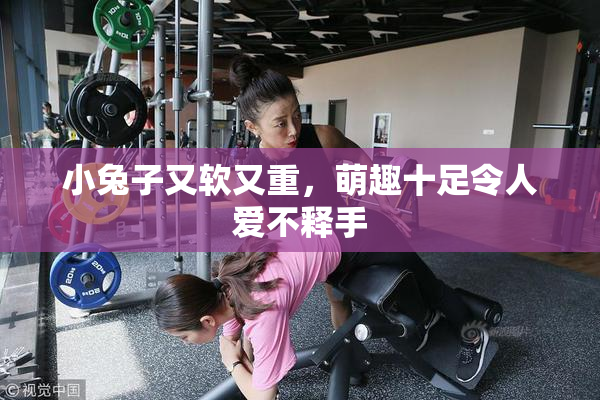 小兔子又软又重，萌趣十足令人爱不释手