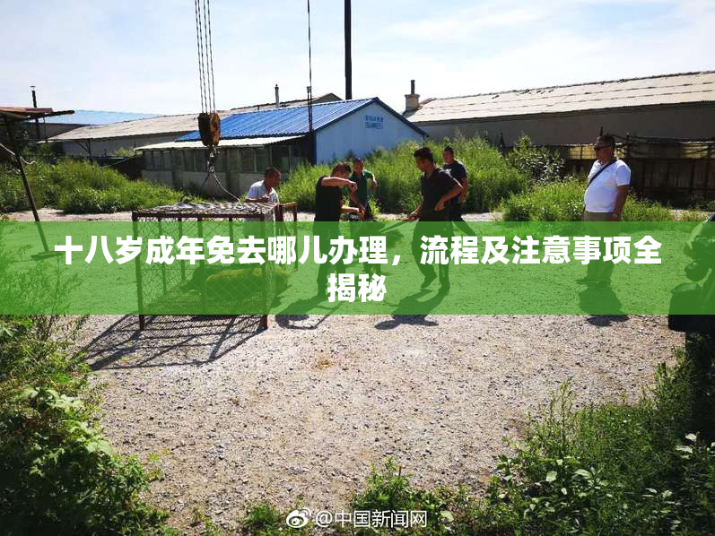 十八岁成年免去哪儿办理，流程及注意事项全揭秘
