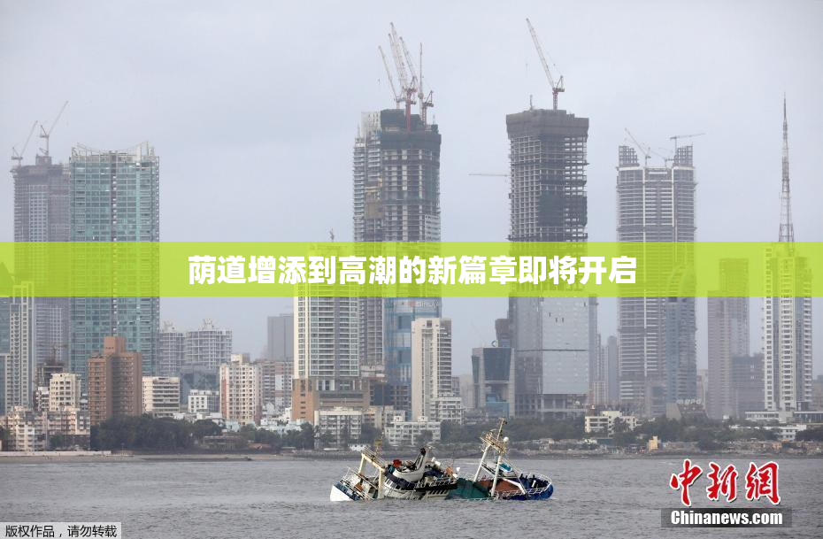 荫道增添到高潮的新篇章即将开启